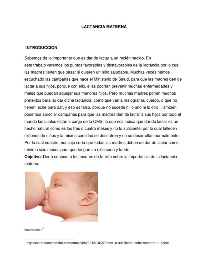 La Introducción De La Lactancia Materna